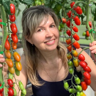 Аватар Телеграм канала "Урожайный огород" @urogainyi_ogorod