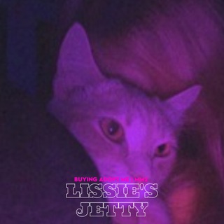 Аватар Телеграм канала "Lissie's jetty | Buying Adopt me | MM2" @ssatiraa_garant