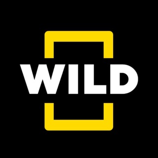 Аватар Телеграм канала "Nat Geo WILD" @natgeowild2