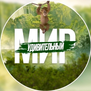 Аватар Телеграм канала "Удивительный Мир 🏝" @+pPc4FNQ0rK80MmZi