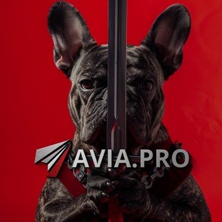 Аватар Телеграм канала "Avia.pro" @aviapro1