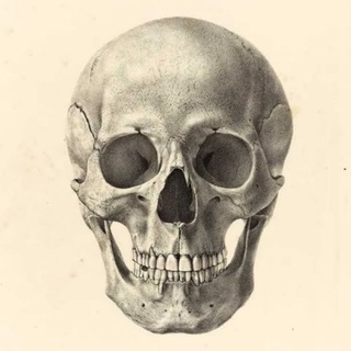Аватар Телеграм канала "ex arte | archive" @ex_arte_archive