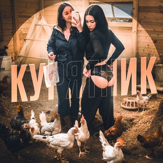 Аватар Телеграм канала "КУРЯТНИК" @+DyWcqy2e1vBlMjRi