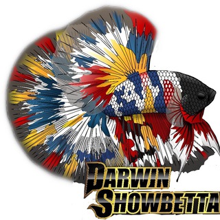Darwin ShowBettas 🐠 - TgScanner