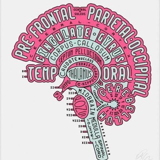 Neuroscience and Psychology - TgScanner