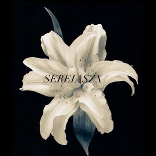 SEREIASZX - TgScanner