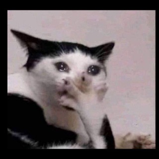 Funny Hub - TgScanner