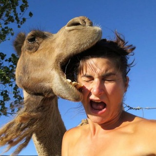 Crazy Moments USA - TgScanner