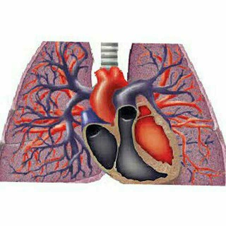 pulmonary courses and books - TgScanner