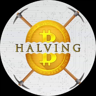 Bitcoin Halving - TgScanner
