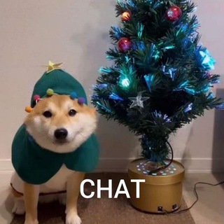 Аватар Телеграм канала "me_irl" @chat_irl