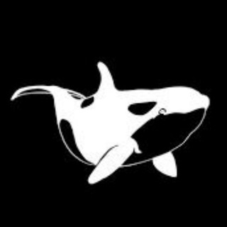 Whales Signals - TgScanner