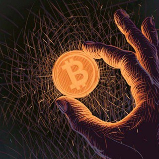 Cryptoy ₿ - TgScanner