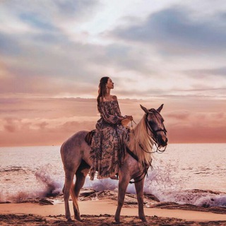 M O D E L S - TgScanner