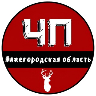 Аватар Телеграм канала "ЧП Нижний Новгород - ЧАТ" @chpnnobl