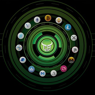 The Crypto Express - TgScanner