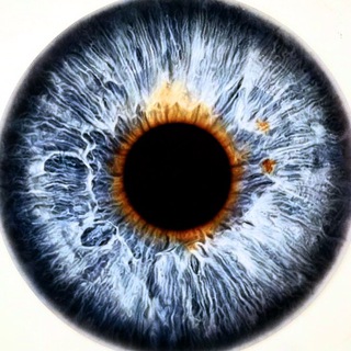 Аватар Телеграм канала "TradingWithStyle™" @tradingwithstyle