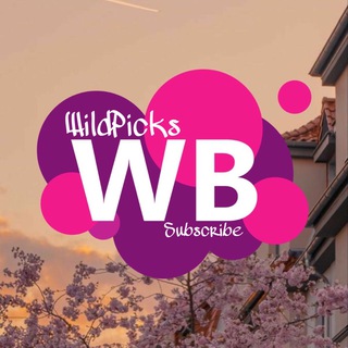 Аватар Телеграм канала "WildPicks | Подборки wildberries" @wildbpic