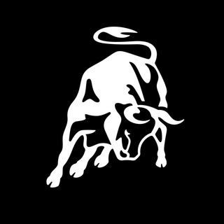 Lamborghini® - TgScanner