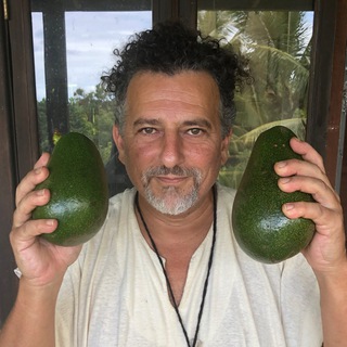 David Avocado Wolfe - TgScanner