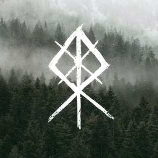 Аватар Телеграм канала "Viking Rise Official" @vikingrise