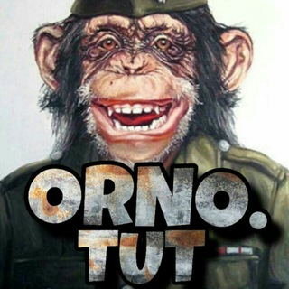 orno.tut - TgScanner