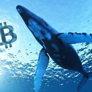 Whales Crypto Guide - TgScanner