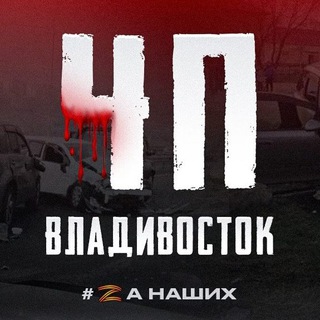 Аватар Телеграм канала "ЧП ВЛАДИВОСТОКА НОВОСТИ" @zhest_dtp31