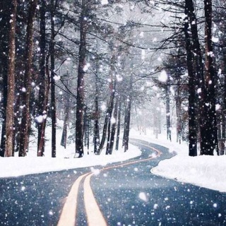 Аватар Телеграм канала "Обои для iPhone, Android, iPad" @wallpapers_ios_android_ipad