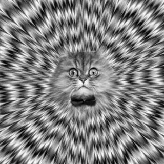 Illusion of deception - TgScanner