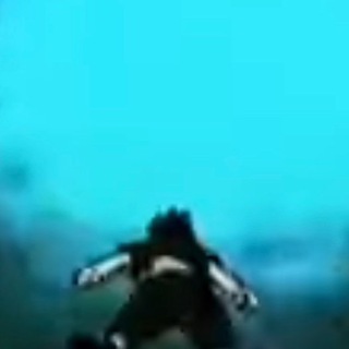 BrutalTripper - TgScanner