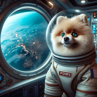 Аватар Телеграм канала "POMS_Official" @ppomsppoms