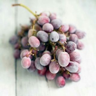 Аватар Телеграм канала "Veganstvo_syroedenie" @vegsyr