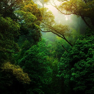 Аватар Телеграм канала "Nature Landscape Animal Photography Videos - TikTok Backup by AppleEditing [Mountains / Glaciers / Oceans / Switzerland]" @naturebackup