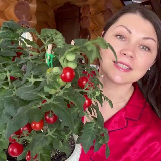 Аватар Телеграм канала "Машины секреты💚" @Masha_secrett