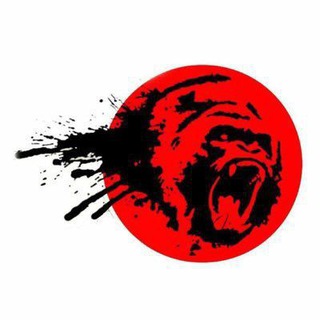 Аватар Телеграм канала "Best Binary Indicators" @ninja_indicators