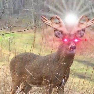 ❄️ Frosty Jolly Memeballs☃️ - TgScanner