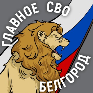 Аватар Телеграм канала "Главный чат в Белгороде и области" @svo31_chat