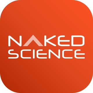 Аватар Телеграм канала "Naked Science – все новости" @NakedScience