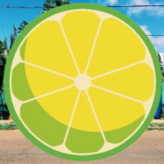 TGWellness - TgScanner