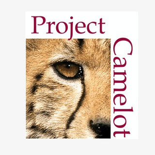 PROJECT CAMELOT - TgScanner