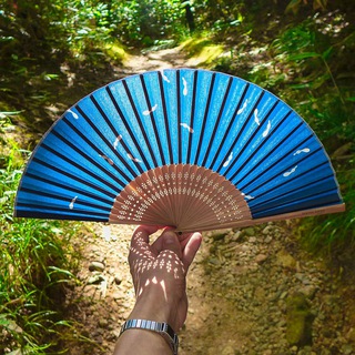 Kyoto Insights - TgScanner