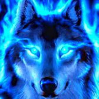 Аватар Телеграм канала "Husky / Raid: SL" @koshusky