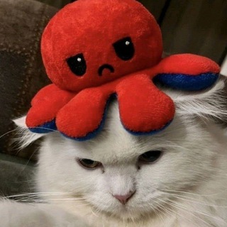 The Autistic Cat Channel - TgScanner