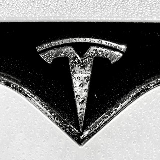 Аватар Телеграм канала "Tesla Motors Fans ⚡" @teslamotorsuk