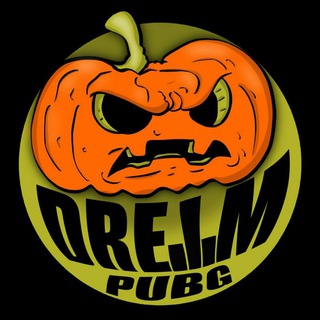 Аватар Телеграм канала "DreamPubg🎃" @dreamtikva