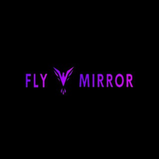 Аватар Телеграм канала "FLY MIRROR" @flymirror