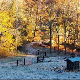 Beginner Homesteader - TgScanner