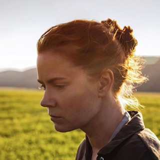 Hollywood Club 🎬 - TgScanner