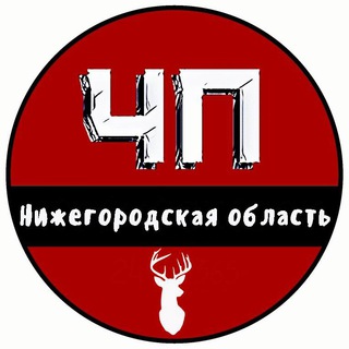 Аватар Телеграм канала "ЧП Нижний Новгород и Нижегородская область" @nn_obl